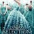 The Selection by Kiera Cass